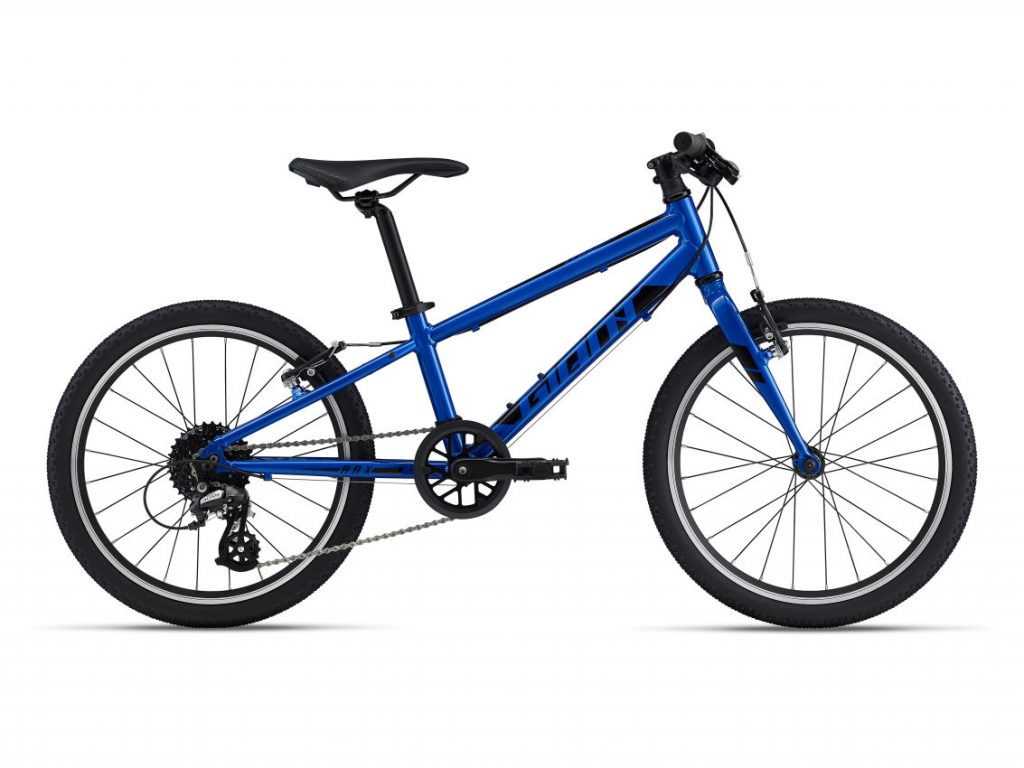 Giant ARX 20″ Kids Bike